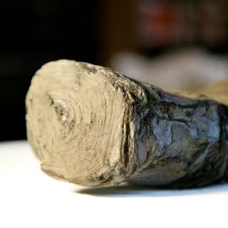 Un papyrus de 2000 ans décodé grâce à l’IA !